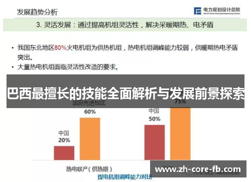 巴西最擅长的技能全面解析与发展前景探索