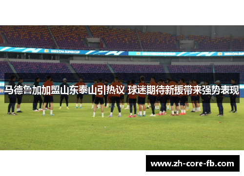马德鲁加加盟山东泰山引热议 球迷期待新援带来强势表现