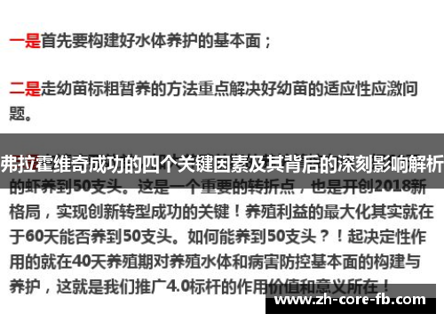 弗拉霍维奇成功的四个关键因素及其背后的深刻影响解析 弗拉霍维奇成功的四个关键因素及其背后的深刻影响解析