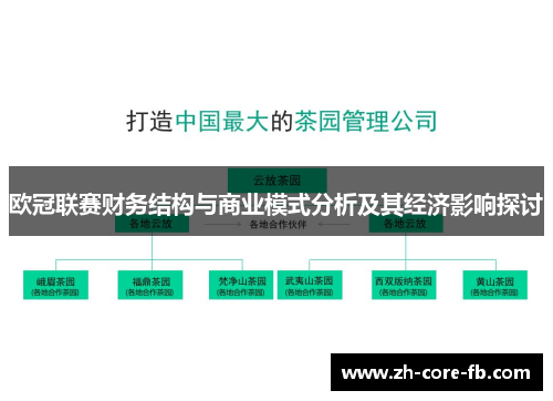 欧冠联赛财务结构与商业模式分析及其经济影响探讨